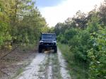 Land Rover Defender 110 by Osprey Custom Cars 1993 года
